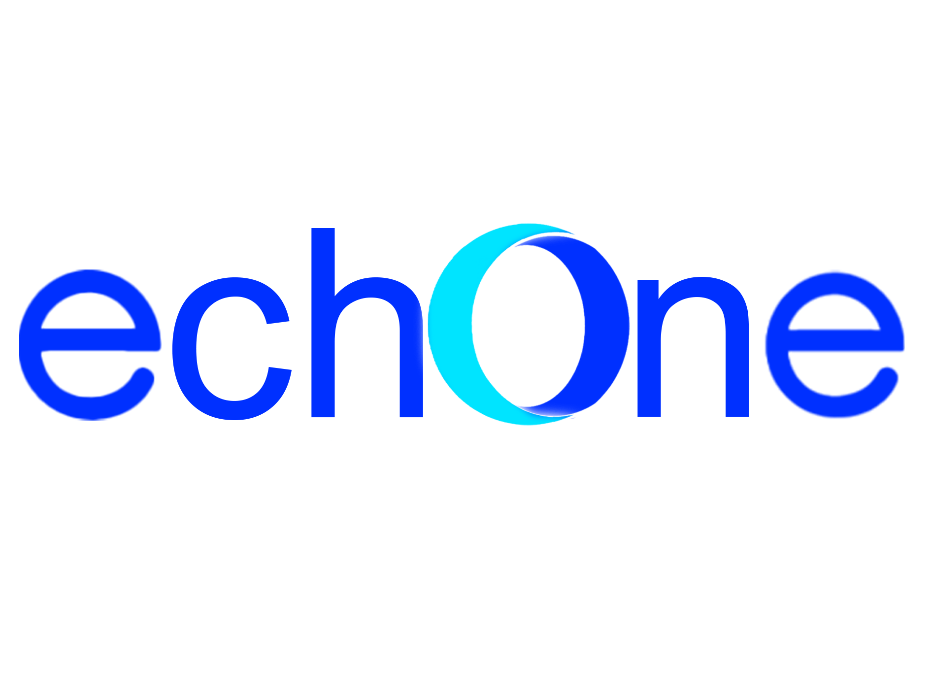 ERP ECHO Logo